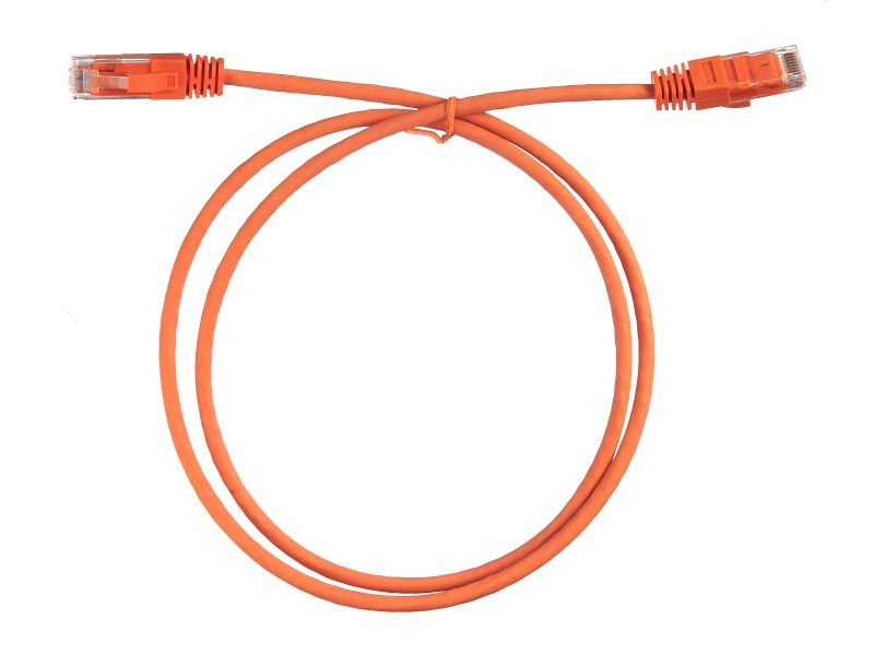 2bzktra4t2bmv2p8nddf101eplxrnva0