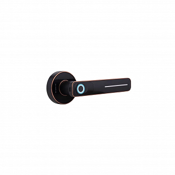 HOGO Smart Lock r01 black Дверной электронный замок HOGO Smart Lock r01 black Дверной электронный замок