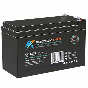ВОСТОК СК 1209 Аккумуляторная батарея