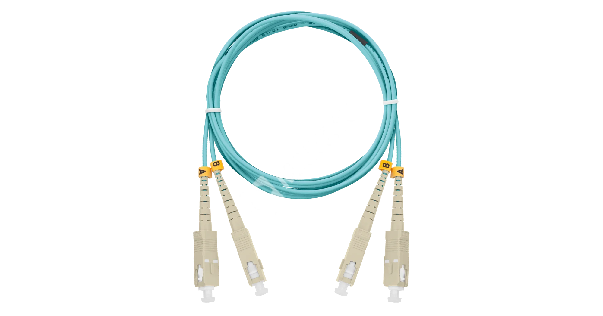 z2t6672b8gphcyswgml91zrz4wvcx4zv