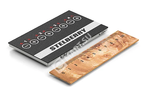 STELBERRY_MX300