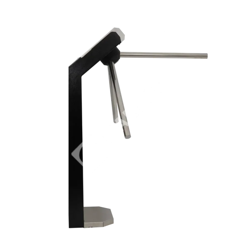 3v-model-vi-vid-sboku