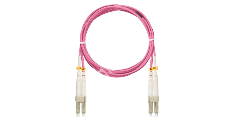 1nifxbp2lkykwww8cn7xm38wd67v621w